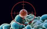 Nature子刊：癌症表观研究需要警惕这个