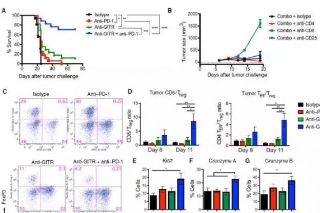 Science Immunology：狙击肿瘤，PD-1与GITR抗体联用竟有事半功倍之妙！