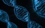 Nature：253名科学家通力合作，74个基因位点与受教育程度有关