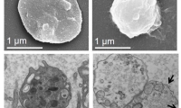Science子刊：