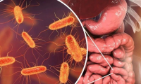 Cell子刊最新研究：快乐多一点，肠胃更健康！