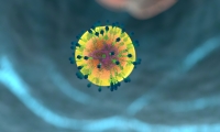 Nature：新战术——激活并杀死，治疗潜伏期艾滋病，或根除HIV病毒