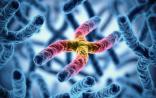 Scientific Reports：科学家开发更安全的基因疗法