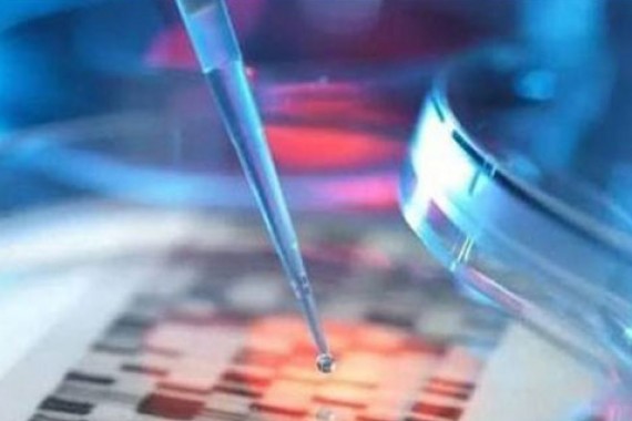 麻省理工研究报告：新药物组合可改善黑色素瘤的治疗效果