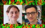 张锋再来1篇Science，这次的“突破技术”不是CRISPR！
