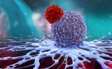 CAR-T细胞治疗更广阔的市场——实体瘤