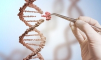 主动撤回论文！CRISPR基因编辑婴儿可能会早逝的研究出现重大错误
