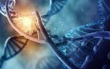 未来基因检测细分行业新格局：互联网打通“消费者-机构-技术人才”链条