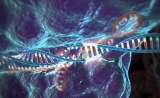基因编辑CRISPR-Cas9研究获新成果