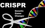 组建CRISPR-Cas9库，让标记DNA和靶向切割更精准