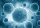 4位国内外大牛齐授血液DNA、RNA、蛋白研究秘诀