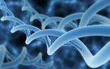 Science：重磅！RNAi是细胞静止所必需的