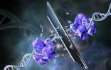 Nature报道清华大学重磅论文：镜中的生物世界