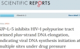 中国团队发现：HIV-1新靶点小分子药物候选物