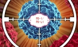 全球PD-(L)1全景概览：上市5款，在研164款，相关临床试验1502个