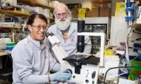 《自然》：面对癌症之王，中美科学家们联合找到了诊疗新思路