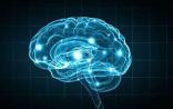 Cell子刊：科学家又发现一种延缓衰老的物质——辅酶I