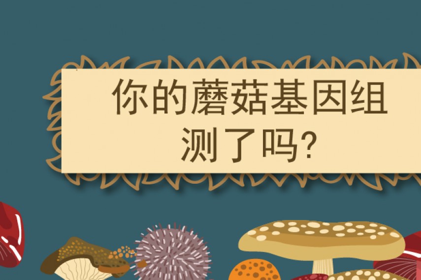 又快又好的真菌基因组组装，不容错过