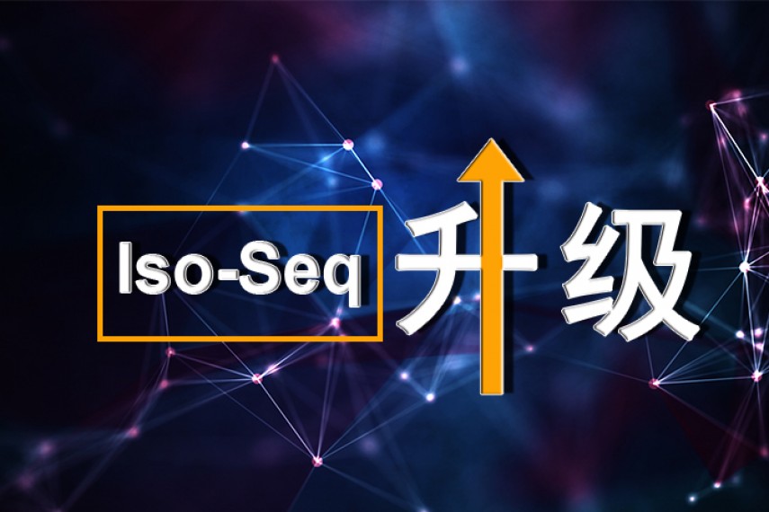 【数据实测】IsoSeq3全新升级，全长转录组分析再提速
