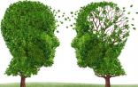控制糖分摄入新理由——高血糖易导致阿尔茨海默病