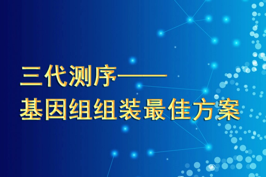 “一寸长，一寸强”，三代测序，组装王中王！
