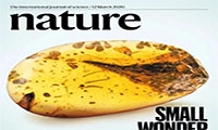 Nature封面撤稿：邢立达等人的“史上最小恐龙”假说存疑