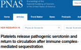 第一反应者！血小板在免疫系统中发挥更大作用 | PNAS