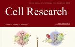 《细胞研究》影响因子提升至11.981