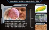 奥迪投资研发大肠杆菌生产新型生物燃料