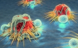 癌症免疫疗法为何对大多数人无效？同日2篇Science找到关键原因