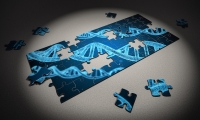Science重磅！CRISPR领域两大“宗师”合作，深度解析单碱基编辑器脱靶机制