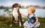 养狗新纠结：宠物狗会降低儿童患哮喘风险？