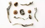 癌症患者与迷幻剂：这是一个冷门、纠结又重要的研究
