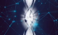 癌症的武器是“进化”？科学家发现癌基因在染色体外DNA中扩增，可促进肿瘤发