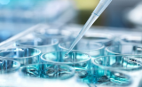 科学家称 5 年内合成人类 DNA： “定制婴儿”或成现实