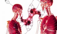Cancer：TACE联合索拉非尼延长晚期肝癌患者寿命