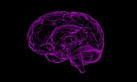 Nature子刊：中风治疗新突破，换血或能改善中风症状
