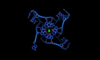 又双叒登Nature子刊！四链DNA结构首次在乳腺癌细胞中发现