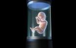 下一个40年：人类生殖从“冷冻卵巢”到“lab-grown”婴儿？