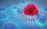 厉害了！斩获诺奖后，免疫疗法新突破再登Science
