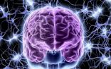 MIT科学家：模拟神经元网络 根据人的偏好与品味推荐餐馆