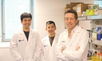 Blood：科学家找到“定时炸弹”休眠癌细胞的关键“命门”