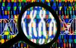 欧盟出台限制基因测试的新政策