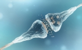 Nature子刊：抗生素或可用于治疗帕金森病
