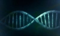 Nature子刊：发现去泛素化酶OTUD3的新功能