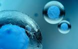 中国医药生物技术协会发布：《干细胞制剂制备质量管理自律规范》